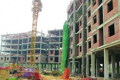 Nhà giá rẻ đã thành 'trái đắng'